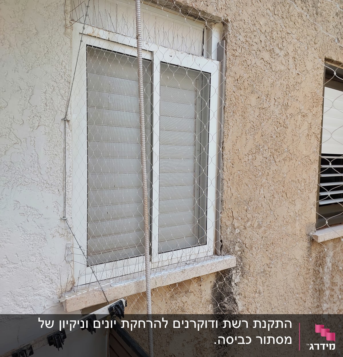 רשת הגנה על חלון למניעת כניסת יונים